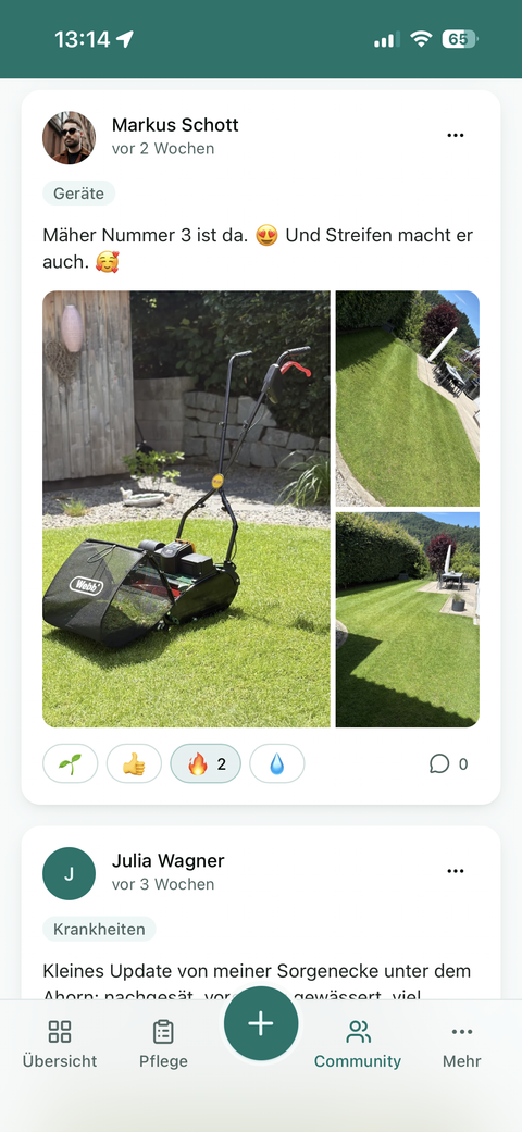 Community-Beitrag mit Rasenfotos